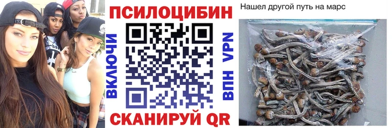 Псилоцибиновые грибы Psilocybe  Купить  Шимановск 